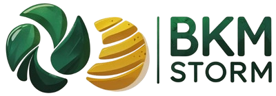 Anasayfa